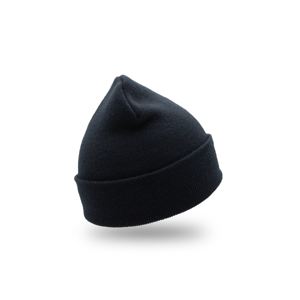 Ford TRUCKS Beanie