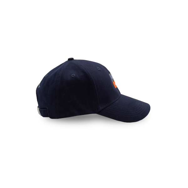 Ford TRUCKS Cap
